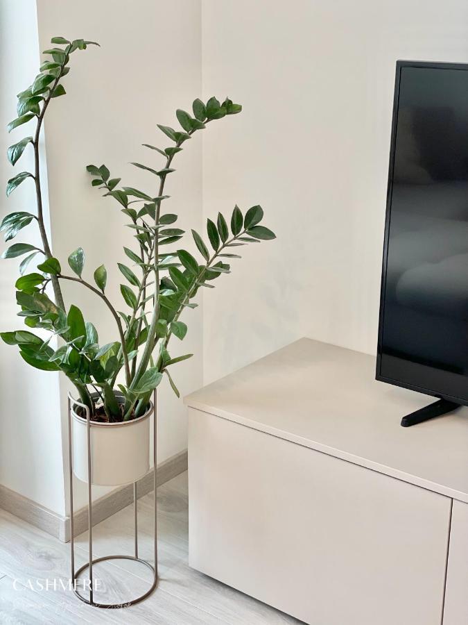 שיופוק Cashmere Premium Apartment מראה חיצוני תמונה